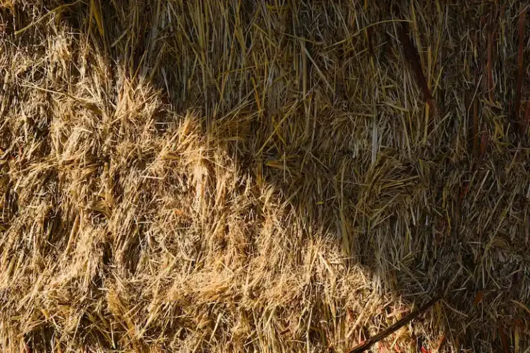 RE2020 : isolation biosourcée en paille